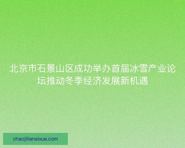 北京市石景山区成功举办首届冰雪产业论坛推动冬季经济发展新机遇