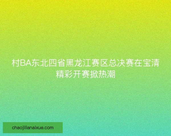 村BA东北四省黑龙江赛区总决赛在宝清精彩开赛掀热潮