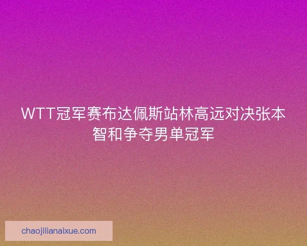 WTT冠军赛布达佩斯站林高远对决张本智和争夺男单冠军